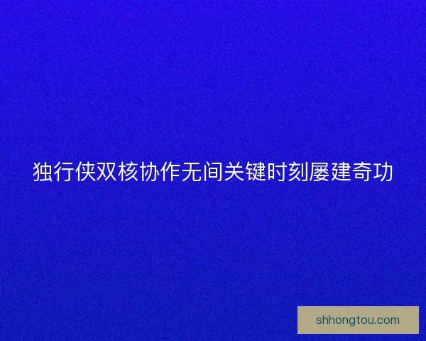 独行侠双核协作无间关键时刻屡建奇功