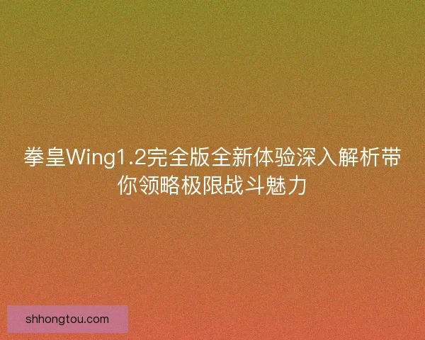 拳皇Wing1.2完全版全新体验深入解析带你领略极限战斗魅力