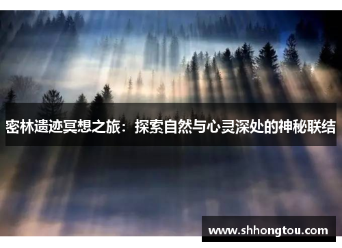 密林遗迹冥想之旅：探索自然与心灵深处的神秘联结